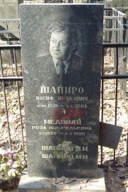 Шапиро Иосиф Исакович, Москва, Востряковское кладбище